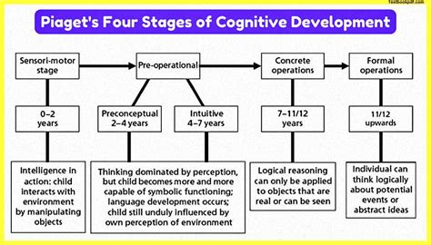 piaget's cognitive development pdf.